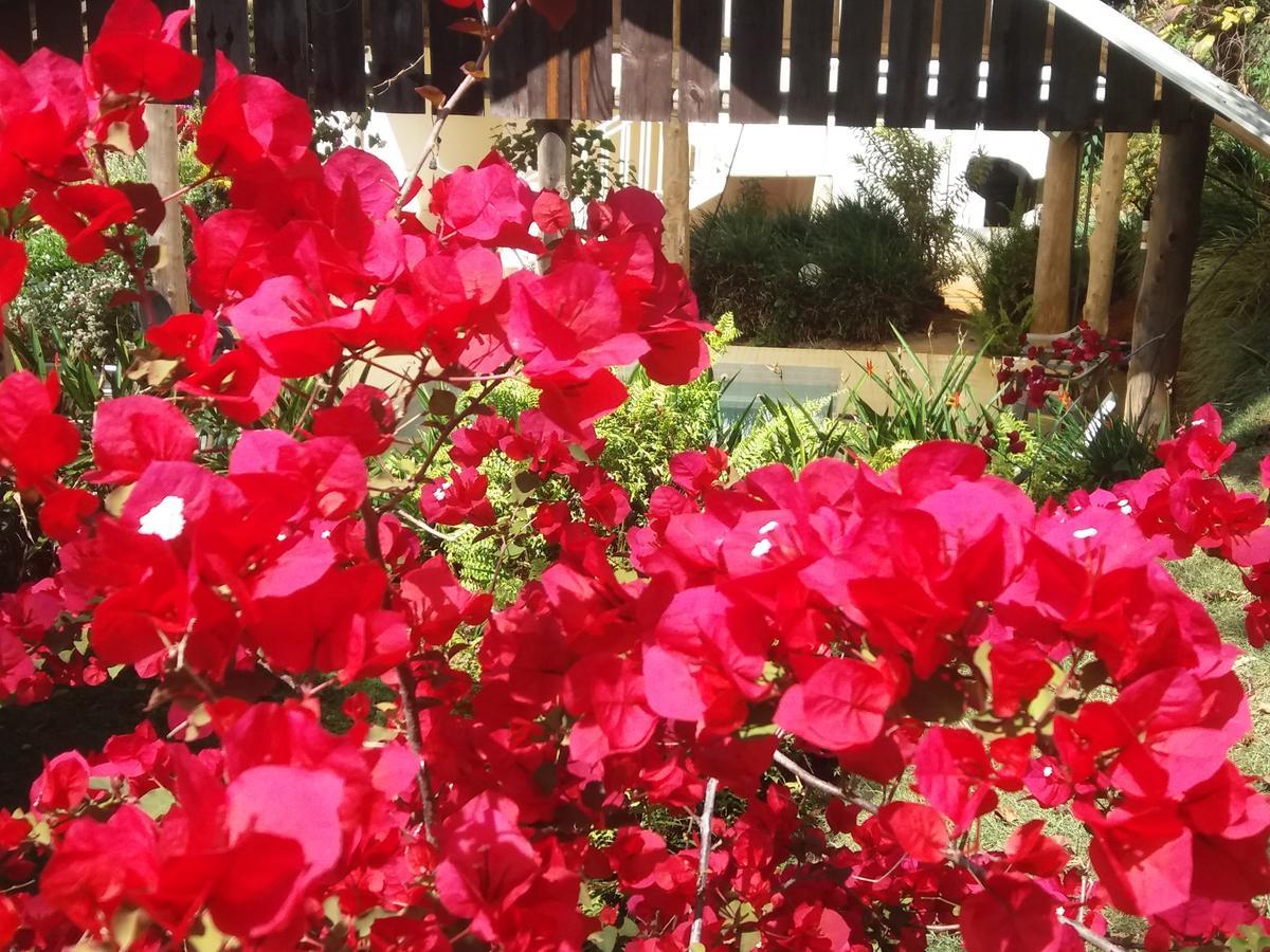 La Princesa Hotel San Isidro De El General المظهر الخارجي الصورة