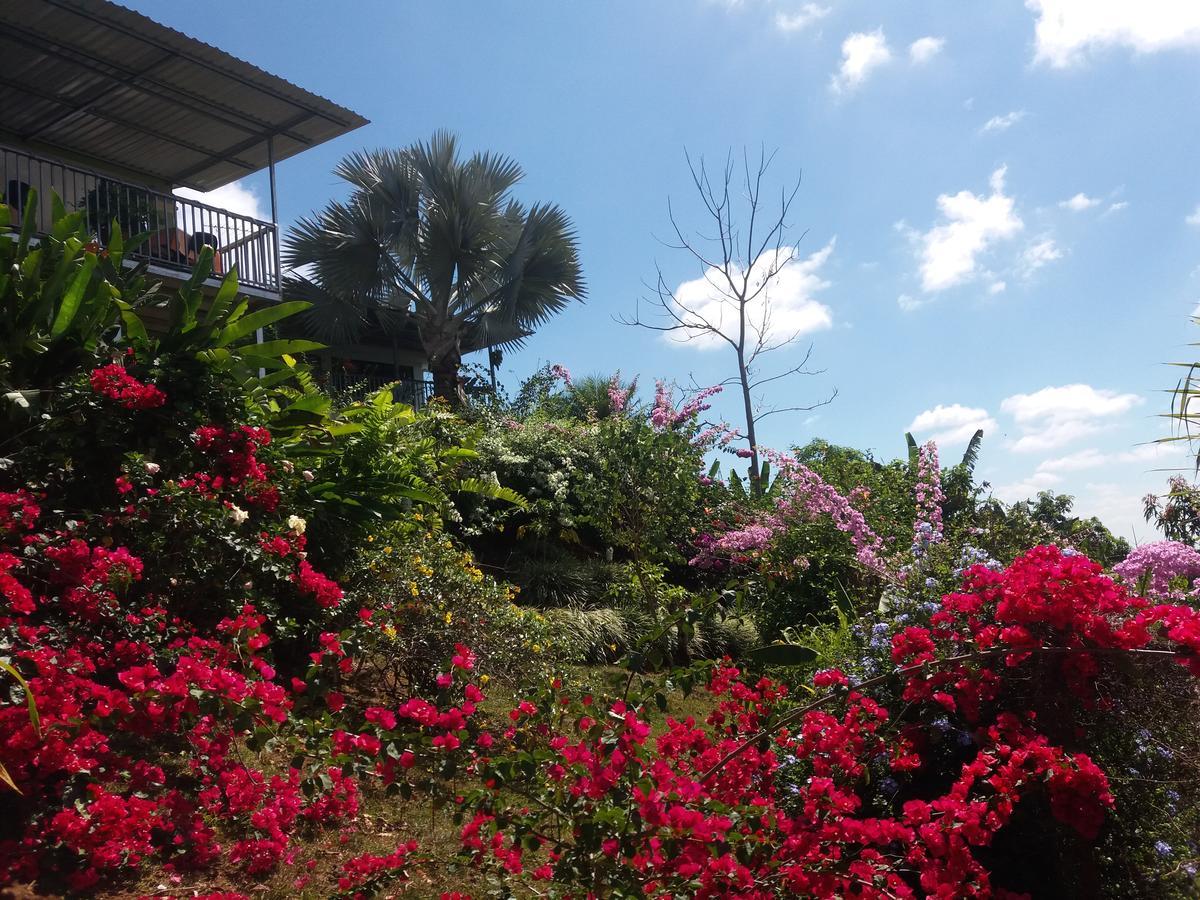 La Princesa Hotel San Isidro De El General المظهر الخارجي الصورة