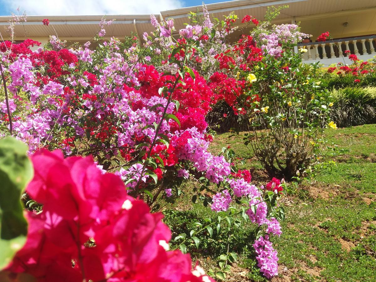 La Princesa Hotel San Isidro De El General المظهر الخارجي الصورة